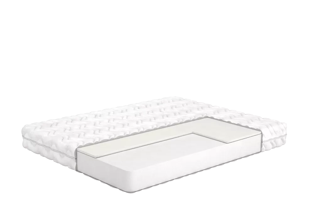 mons-png-3-1000x700